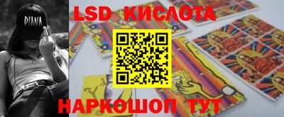 прущие грибы Краснокаменск