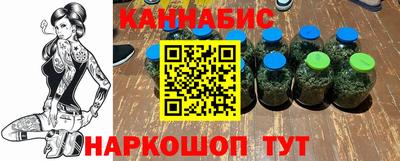 индика Комсомольск-на-Амуре