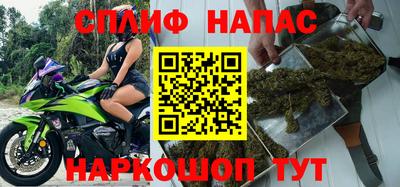 прущие грибы Краснокаменск