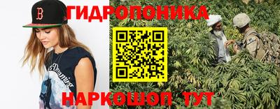 прущие грибы Краснокаменск