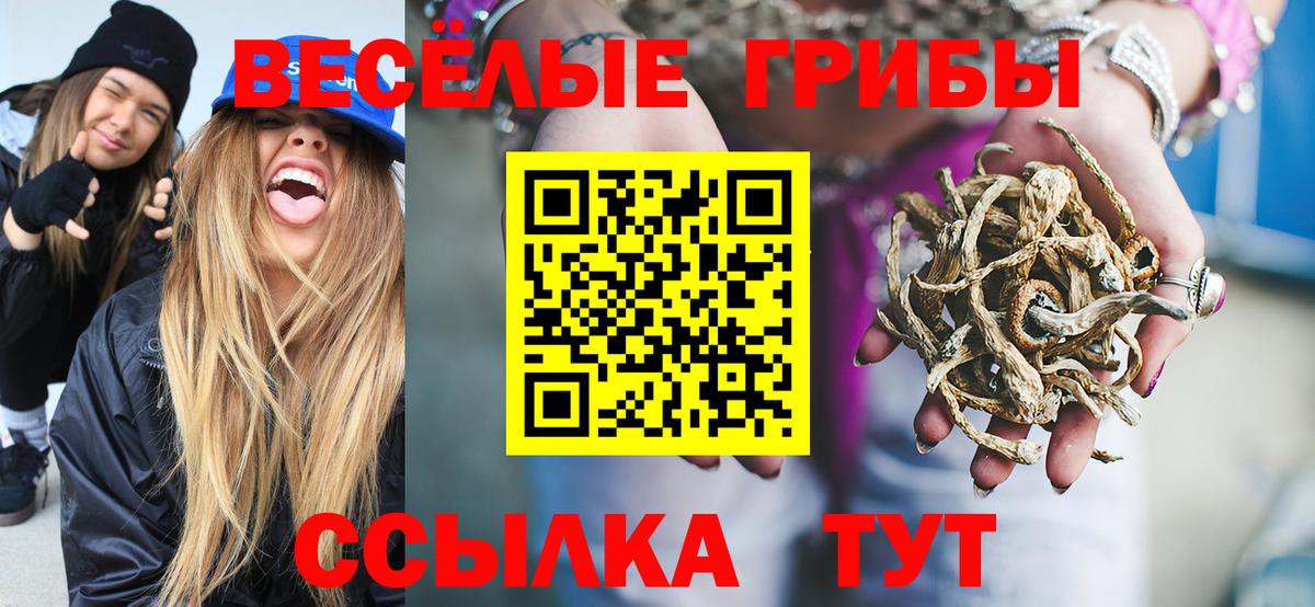 Псилоцибиновые грибы Psilocybe  Вход с VPN  Камень-на-Оби  Галлюциногенные грибы MAGIC MUSHROOMS 