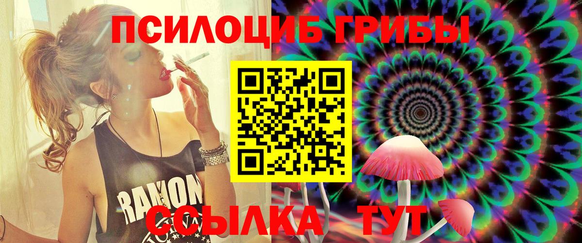 Псилоцибиновые грибы ЛСД Камень-на-Оби